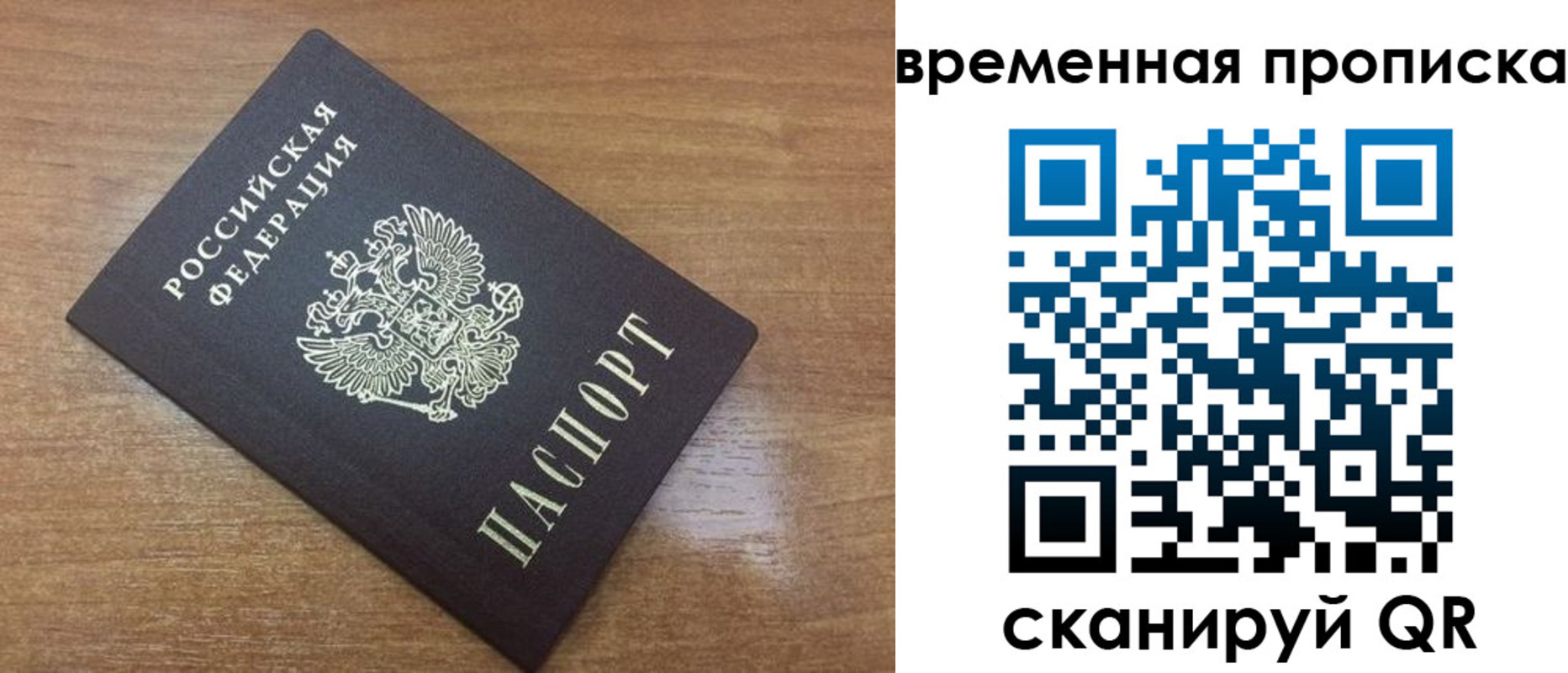 прописка в Оленегорске